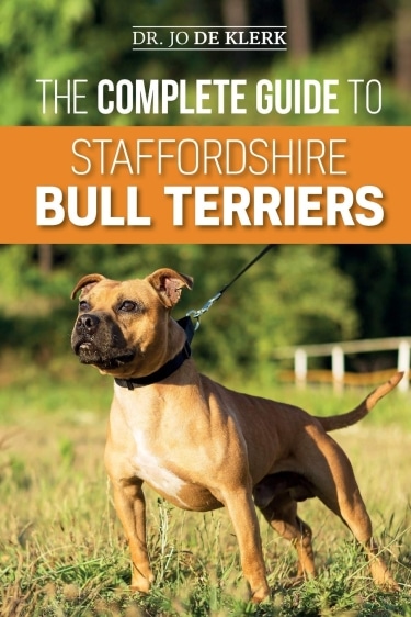 gUIDE TO American Staffordshire TerrierS