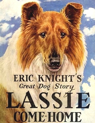 Pal (1940 – 1958) was a Rough Collie (male) actor and the first in